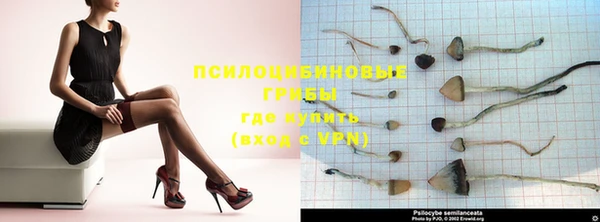 не бодяженный Янаул