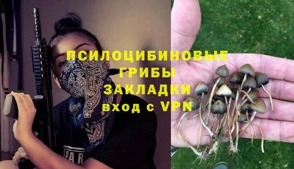 не бодяженный Янаул