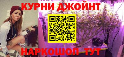 крисы Волжский