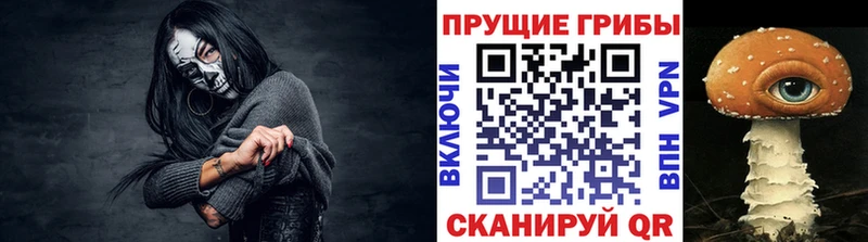 Галлюциногенные грибы Cubensis  сколько стоит  даркнет клад  Новомосковск  OMG tor 