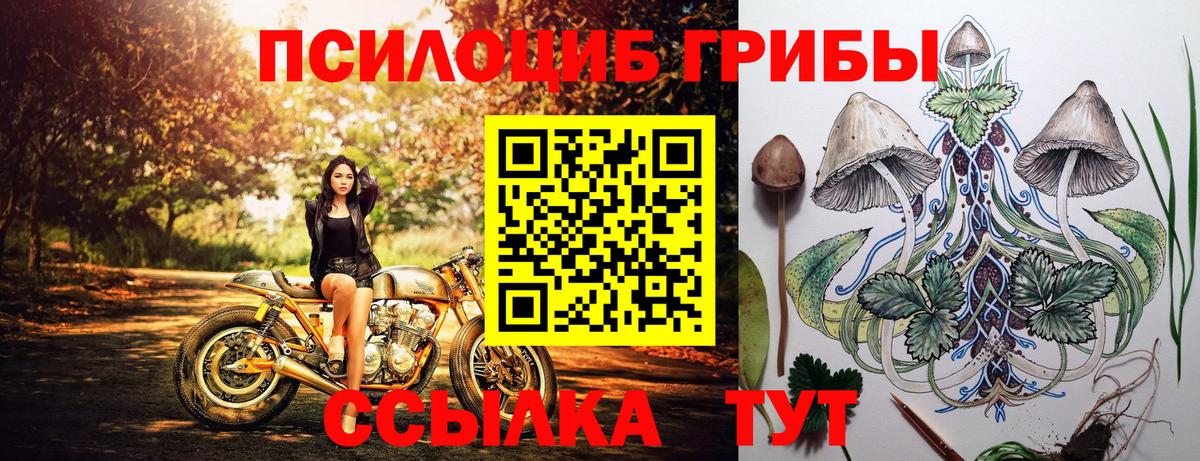 Псилоцибиновые грибы Magic Shrooms  Новомосковск  Псилоцибиновые грибы мухоморы 