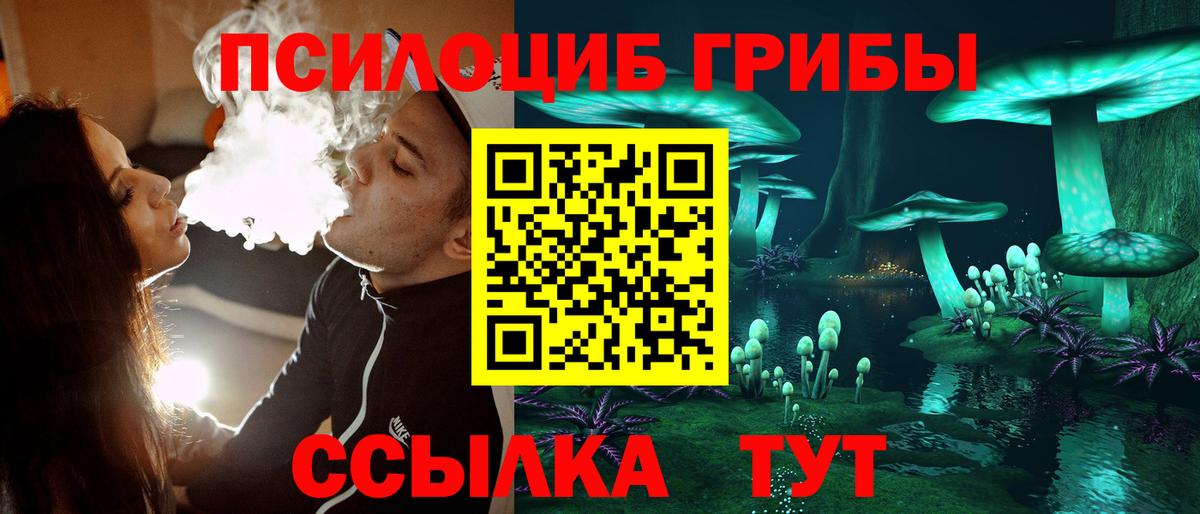 Галлюциногенные грибы мицелий Новомосковск