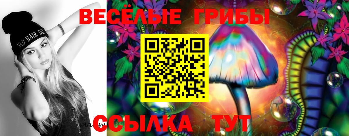 Новомосковск  как найти закладки  Вход с VPN  Псилоцибиновые грибы мухоморы 