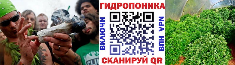 Шишки марихуана OG Kush  Новомосковск 